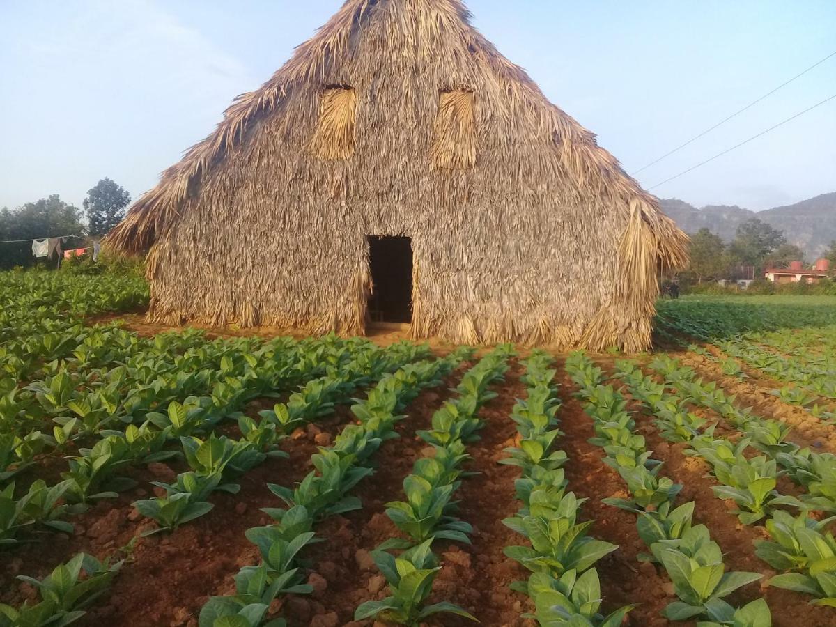 Villa El Ranchon Ignacio Y Raiza Viñales Exterior foto